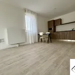 Rent 2 bedroom apartment of 45 m² in SARREBOURG