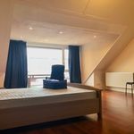 Rent a room of 120 m² in Den Haag