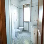 Rent 3 bedroom apartment of 120 m² in Collesalvetti