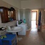 Rent 1 bedroom apartment of 55 m² in Roma