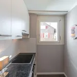 Rent 1 bedroom apartment of 560 m² in Zurich