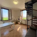 Rent 2 bedroom apartment of 54 m² in Casalmaggiore