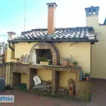 Rent 3 bedroom apartment of 100 m² in Bologna