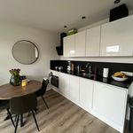 Rent 2 bedroom apartment of 37 m² in Schildersbuurt