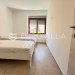 Rent 2 bedroom apartment of 57 m² in Pula