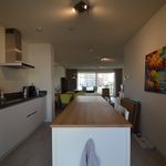 Rent 4 bedroom apartment in Delft