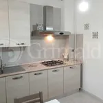 Rent 2 bedroom apartment of 50 m² in Roma