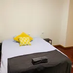 Alquilar 5 dormitorio apartamento en Santiago de Compostela