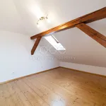 Rent 3 bedroom apartment of 81 m² in Plzeň