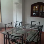 Rent 4 bedroom apartment in Coimbra