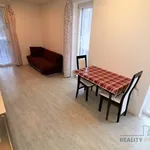 Rent 1 bedroom apartment of 25 m² in Brno