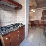 Rent 4 bedroom apartment of 145 m² in Rome