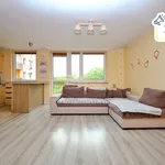 Rent 3 bedroom apartment of 63 m² in Piekary Śląskie