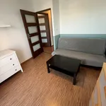 Rent 2 bedroom apartment of 42 m² in Nowy Sącz