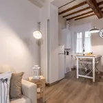 Rent 1 bedroom apartment in Florence