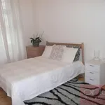 Rent 3 bedroom apartment of 122 m² in Capital City of Prague