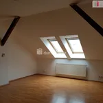 Pronajměte si 1 ložnic/e byt o rozloze 44 m² v České Budějovice