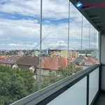 Rent 1 bedroom apartment in Prague