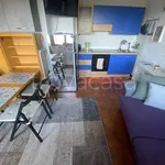 Rent 2 bedroom apartment of 30 m² in Viola