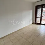 Rent 3 bedroom apartment of 80 m² in Pomezia