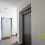 Rent 2 bedroom apartment of 43 m² in Brandýs nad Labem-Stará Boleslav