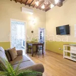 Rent 3 bedroom apartment of 60 m² in Firenze