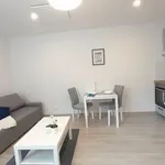 Rent 1 bedroom apartment of 27 m² in ul. Jagiellońska