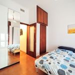 Rent 1 bedroom apartment in Milan