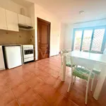 Rent 1 bedroom apartment of 37 m² in Roma