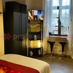 Rent 1 bedroom apartment of 30 m² in Pinerolo