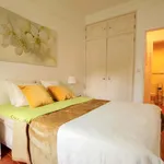 Rent 1 bedroom apartment in Lisbon