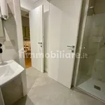 Rent 2 bedroom apartment of 50 m² in Turin