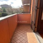 Rent 3 bedroom apartment of 111 m² in Brugherio