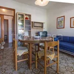 Rent 3 bedroom apartment of 55 m² in Comacchio