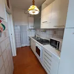 Rent 8 bedroom apartment of 95 m² in Perugia