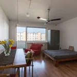 44 m² Studio in berlin