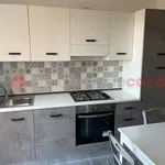 Rent 2 bedroom apartment of 60 m² in Cassino