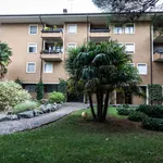 Rent 1 bedroom apartment of 30 m² in Udine