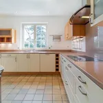 Rent 4 bedroom house of 2213 m² in Heusden