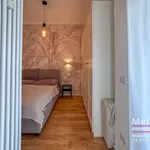 Rent 2 bedroom apartment of 45 m² in Milano