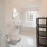 Rent 5 bedroom apartment in Munich