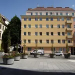 Rent 1 bedroom apartment in Vienna