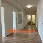 Rent 4 bedroom apartment of 79 m² in Havířov