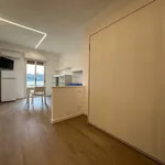 Rent 1 bedroom apartment of 32 m² in Silvi