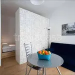 Rent 1 bedroom apartment of 50 m² in Milano