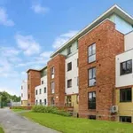 Rent 1 bedroom apartment in Canterbury