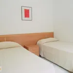 Alquilo 1 dormitorio apartamento de 60 m² en Alicante']