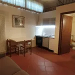 Rent 1 bedroom apartment of 30 m² in San Casciano in Val di Pesa