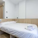 Rent 1 bedroom apartment in madrid