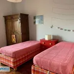 Rent 3 bedroom apartment of 100 m² in Palermo